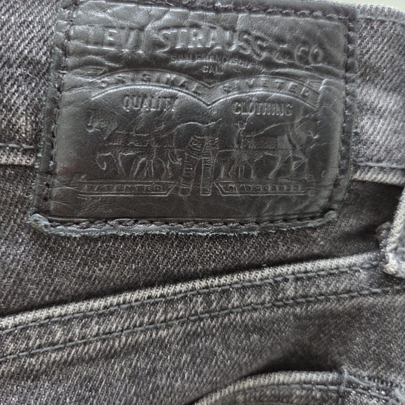 Stylish Gray Levis - Picture 2 of 5